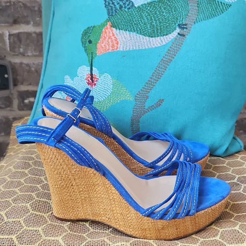 J. Crew Bette Blue Strappy Platform Anklestrap Wedges